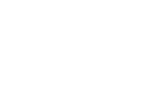 EFAFLEX